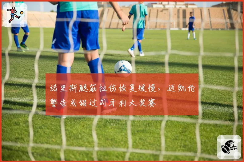 诺里斯腿筋拉伤恢复缓慢,迈凯伦警告或错过匈牙利大奖赛