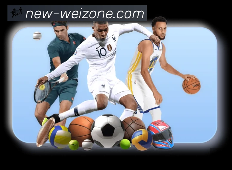 结构优化认证展示